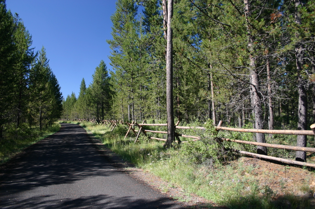 New Buck and Rail Fence